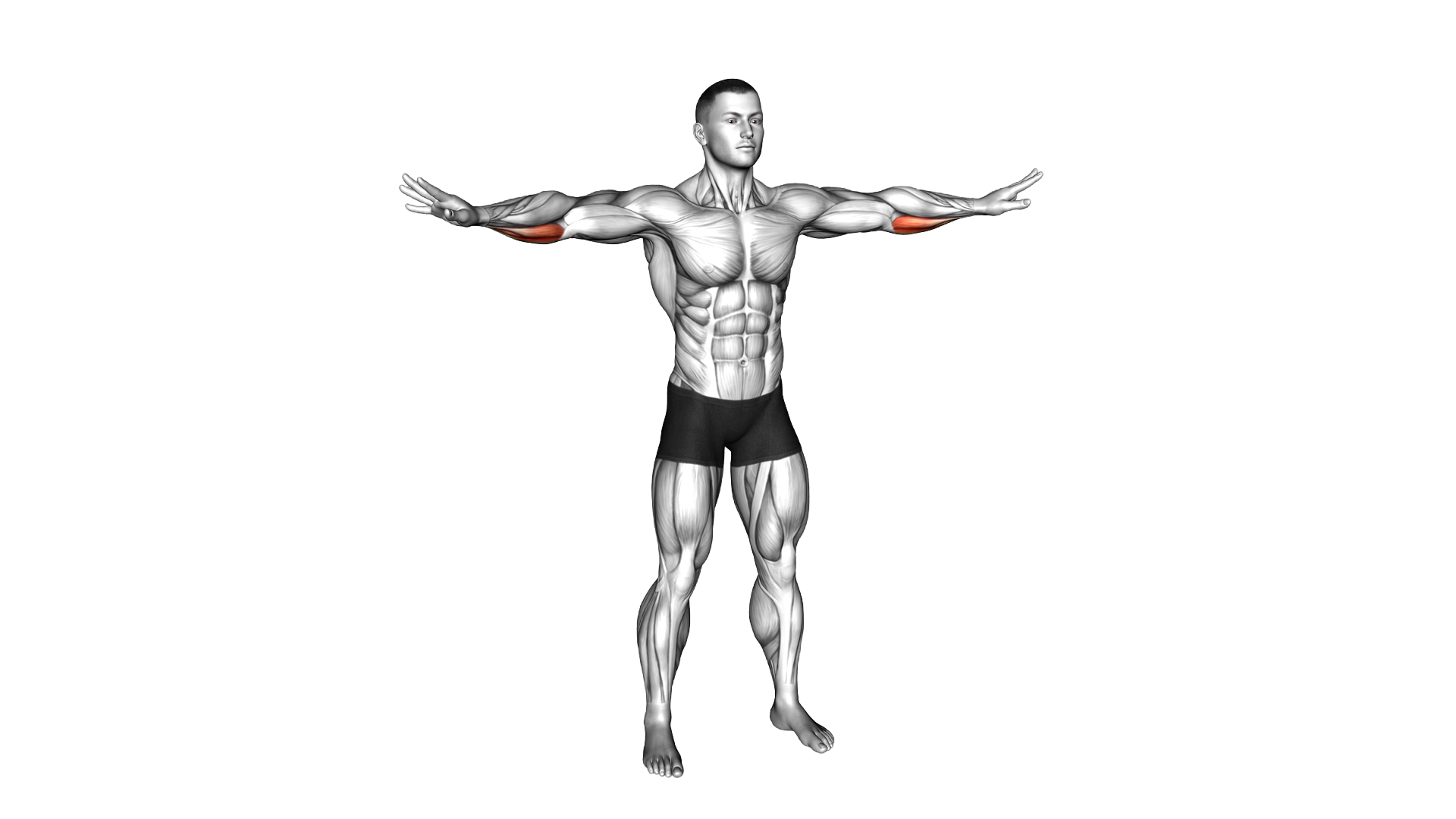 Finger Claps exercise demonstration
