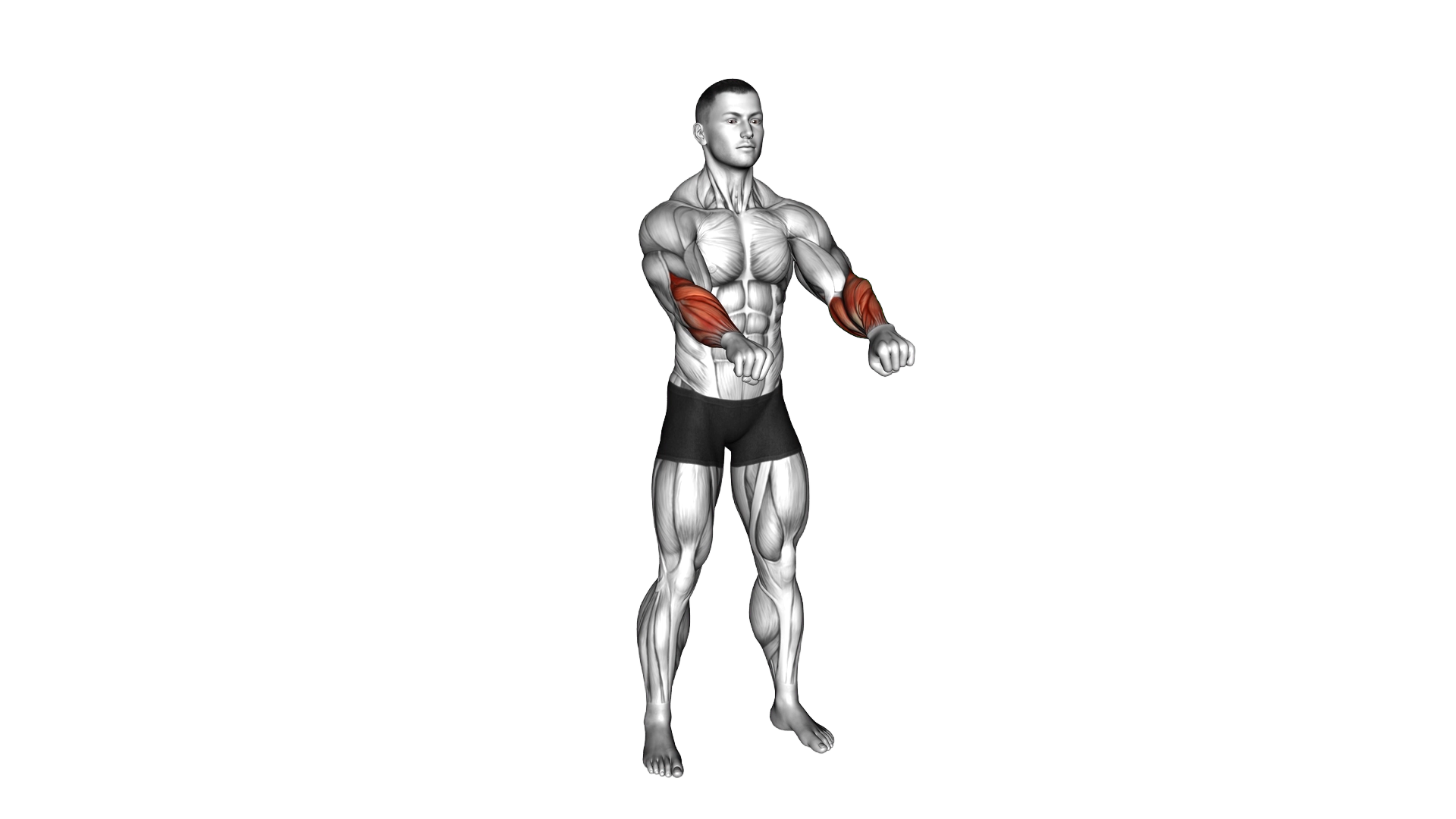 Tight Fist Rotation exercise demonstration