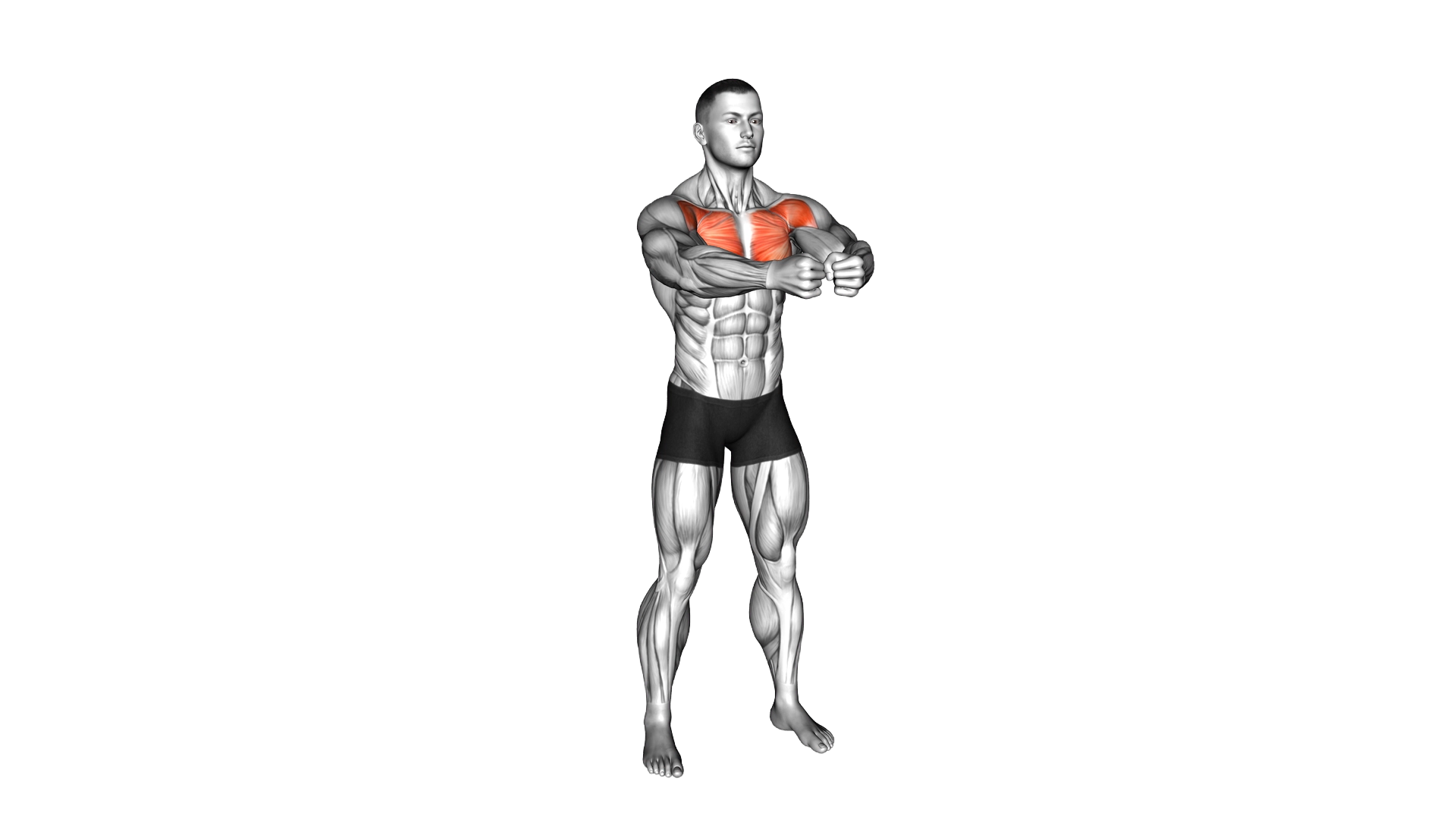 Bodyweight Standing Alternate Chest Fly exercise demonstration