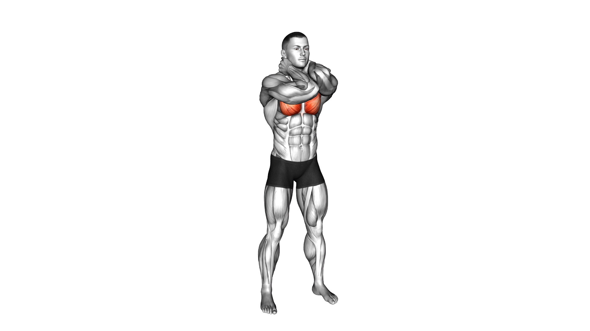 Bodyweight Standing Elbow Touches (Hands on neck) exercise demonstration
