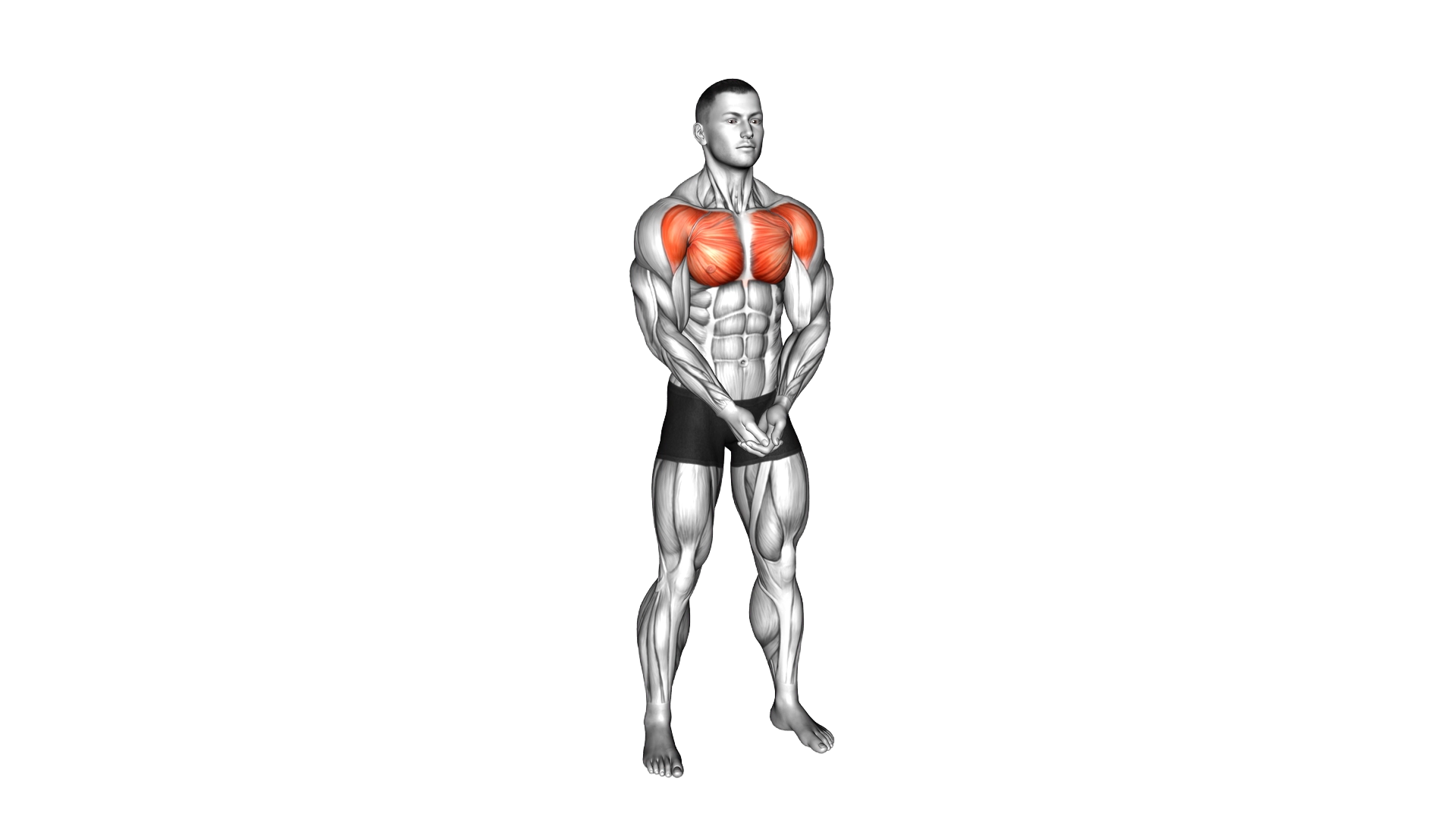 Chest Pressdown exercise demonstration