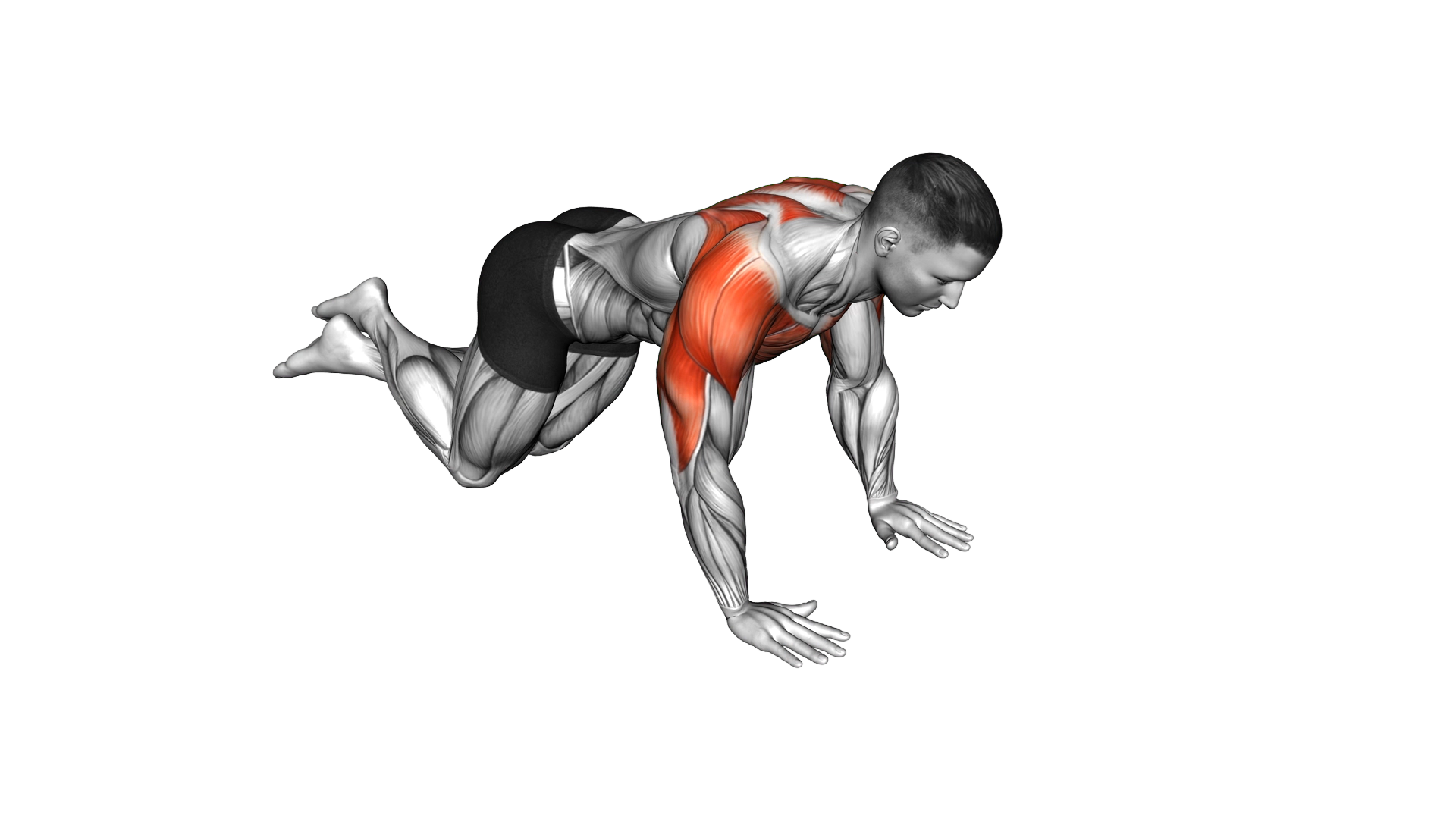 Knee Push up Chest Pullback exercise demonstration