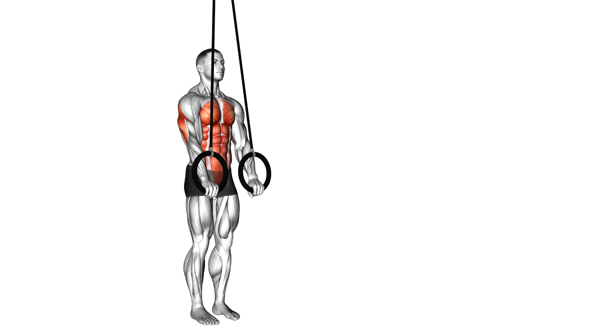 Ring Abdominal Fallout exercise thumbnail