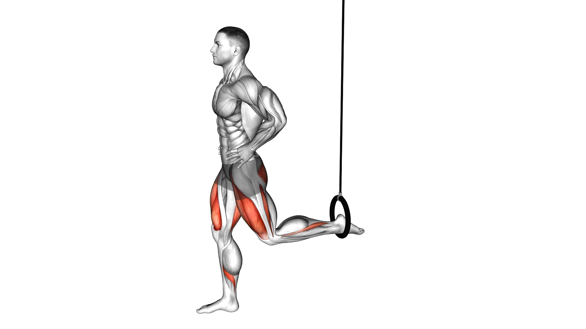 Ring Split Squat exercise demonstration