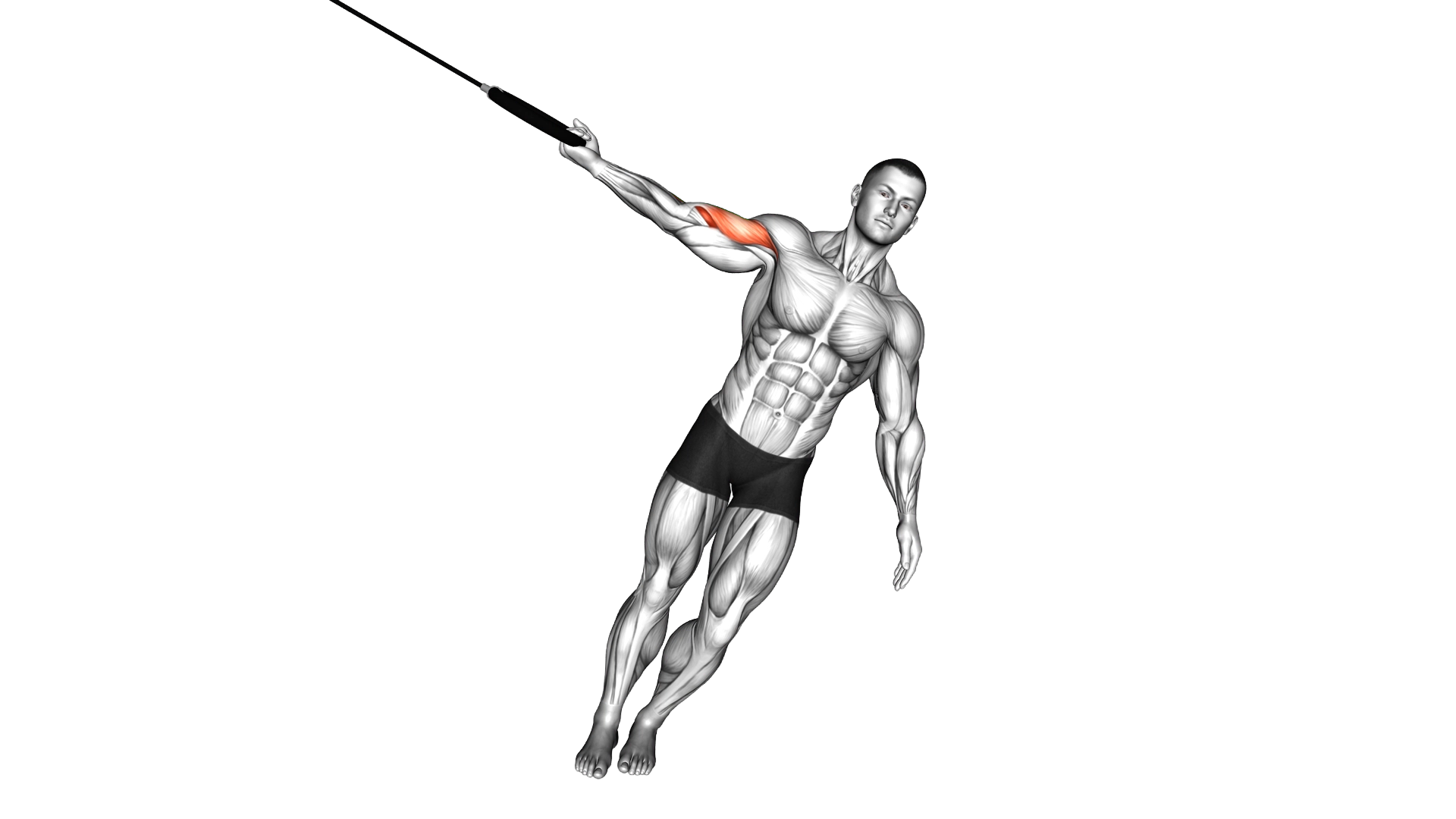 Ring One Arm Biceps Curl exercise thumbnail