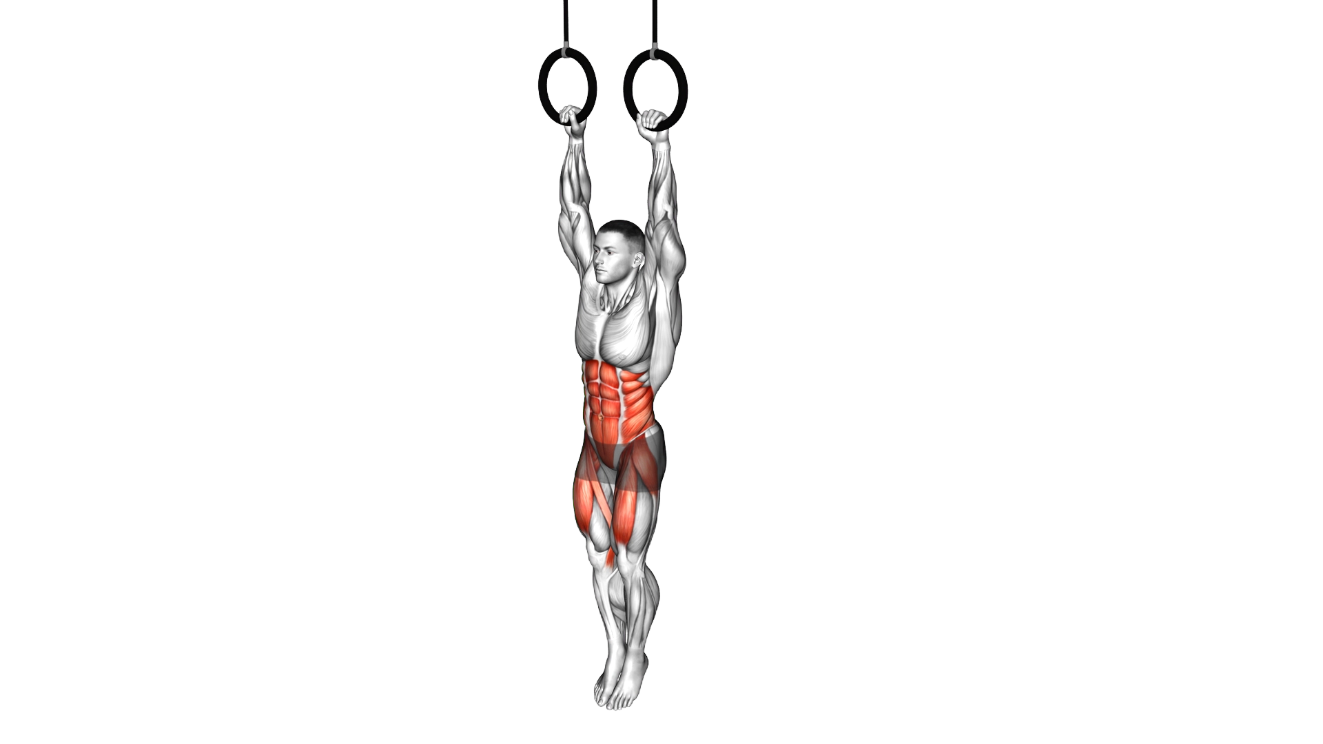 Ring Hanging Knees to Elbows exercise thumbnail