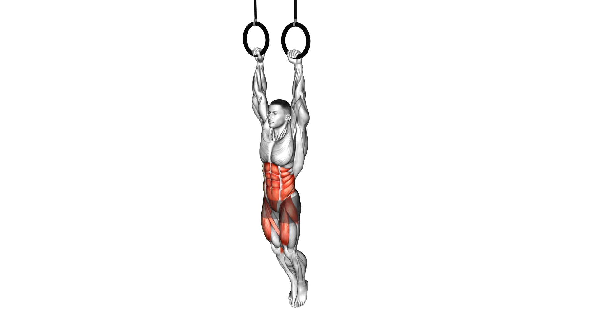 Ring Hanging Straight Leg Hip Raise exercise thumbnail