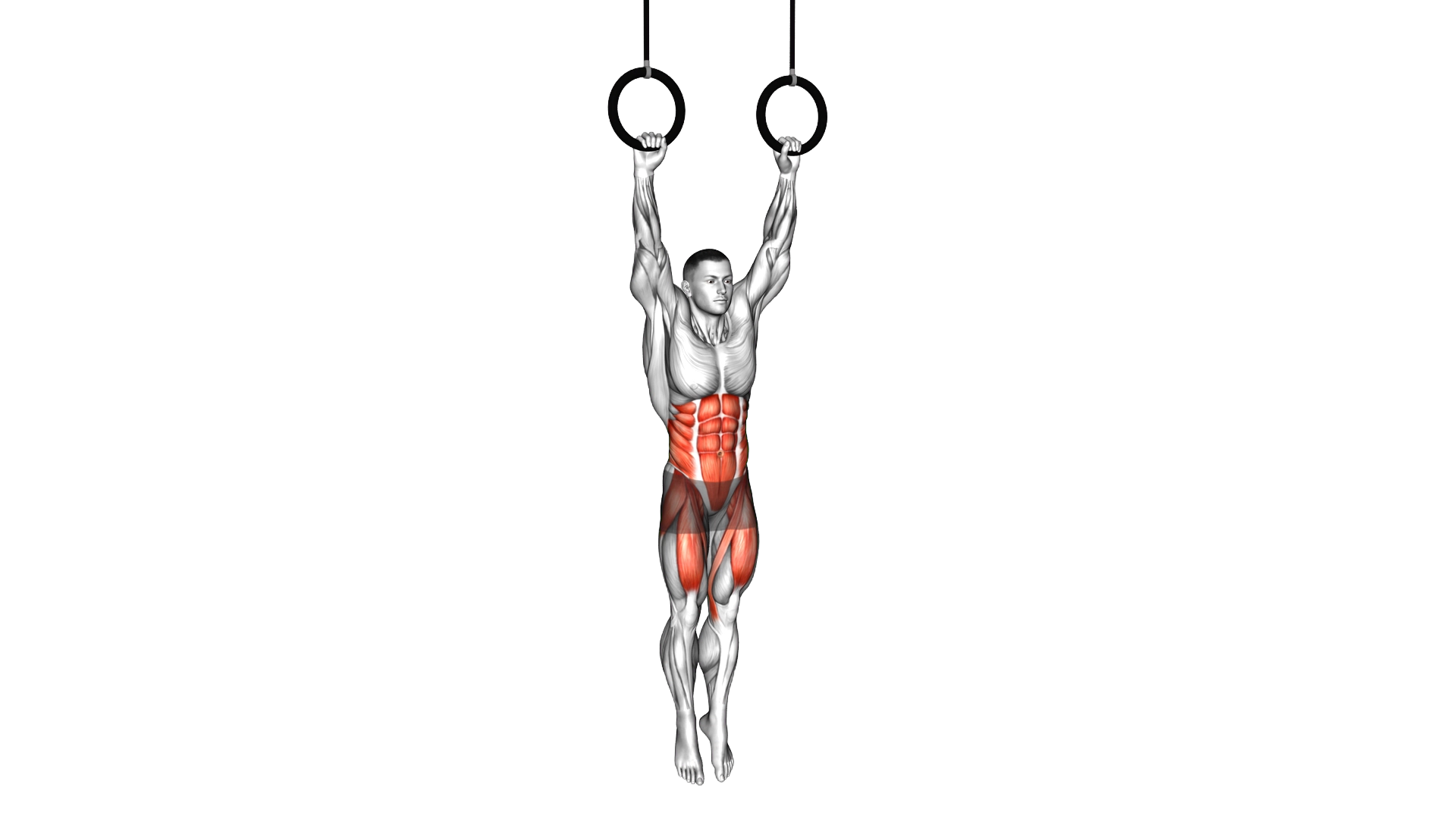 Ring Hanging Leg Hip Raise exercise thumbnail