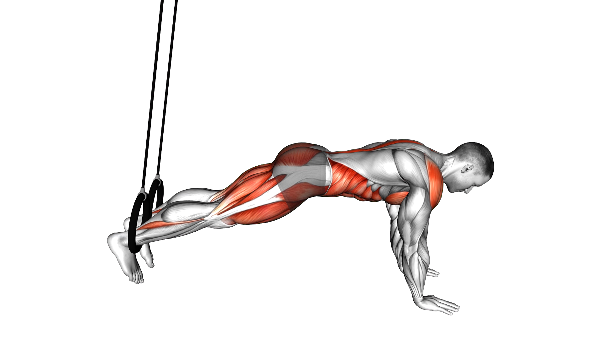 Ring Mountain Climber exercise thumbnail