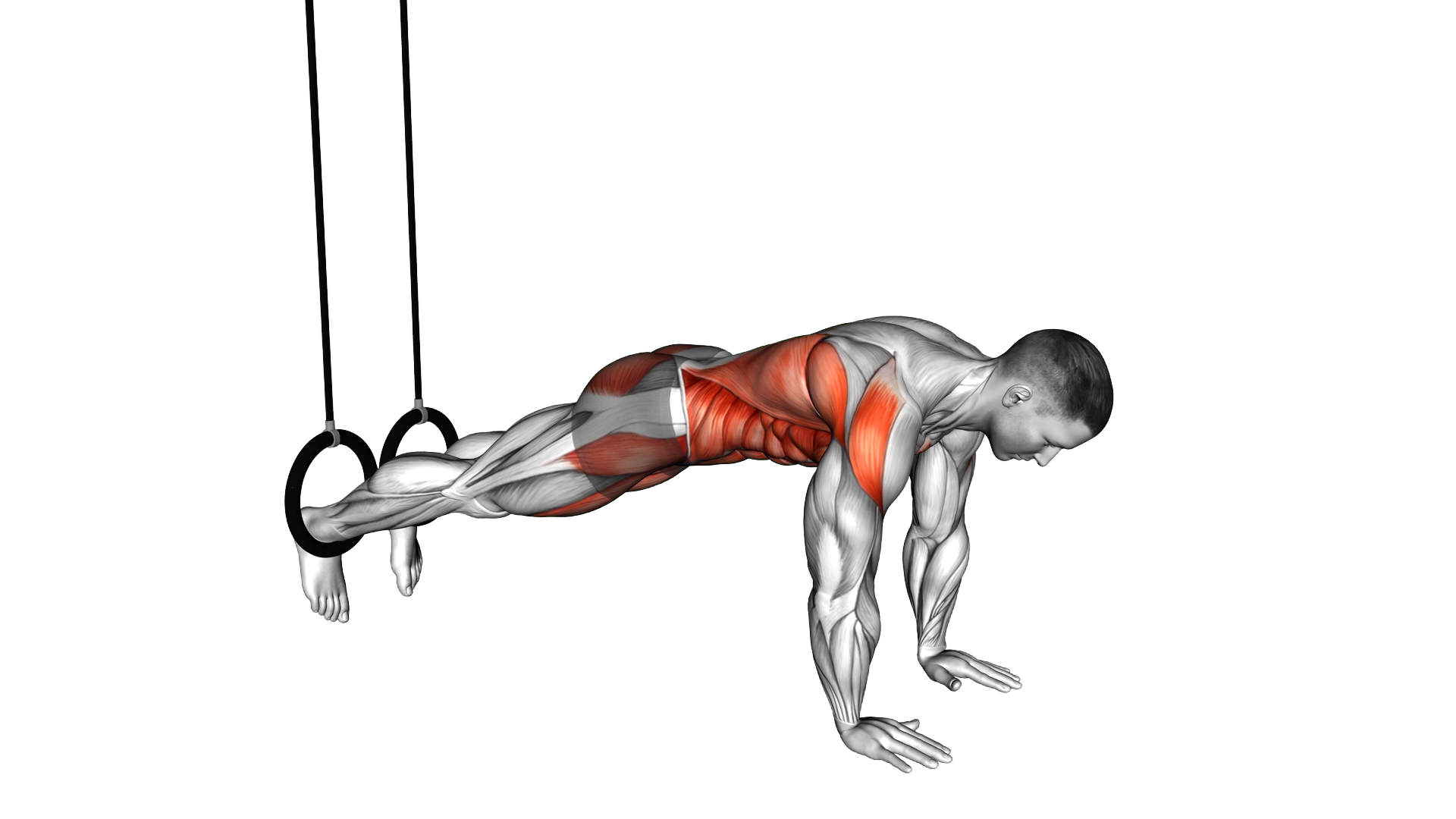 Ring Pike exercise thumbnail