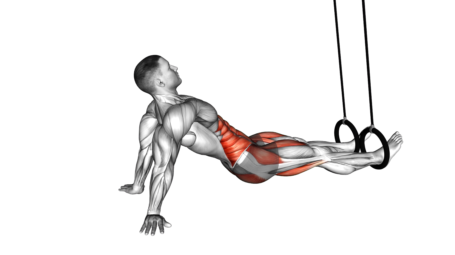 Ring Supine Crunch exercise thumbnail