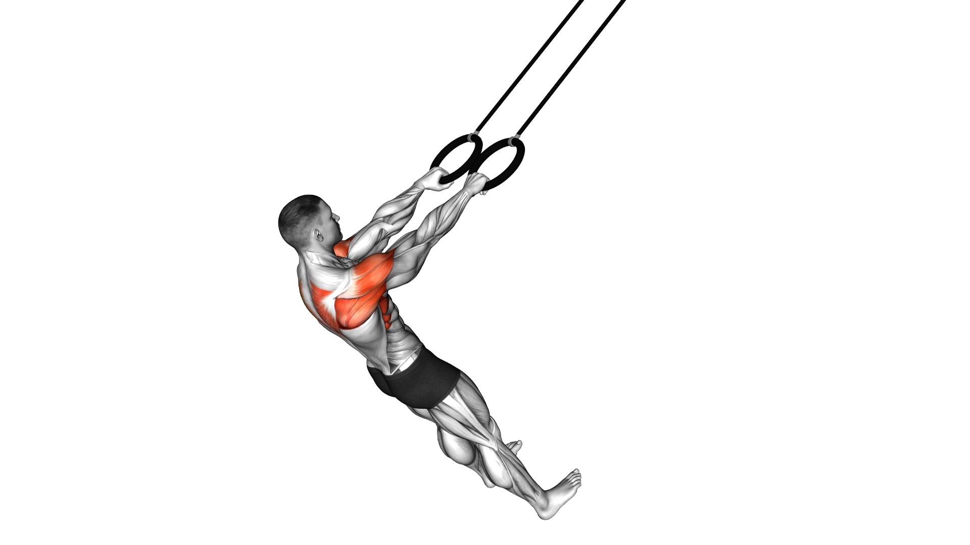 Ring Y Raise exercise thumbnail