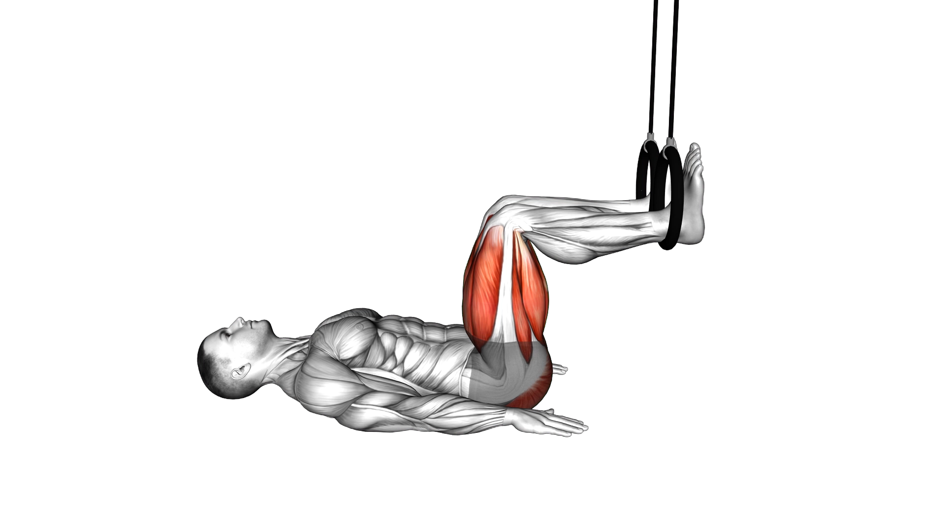 Ring Hip Bridge exercise demonstration