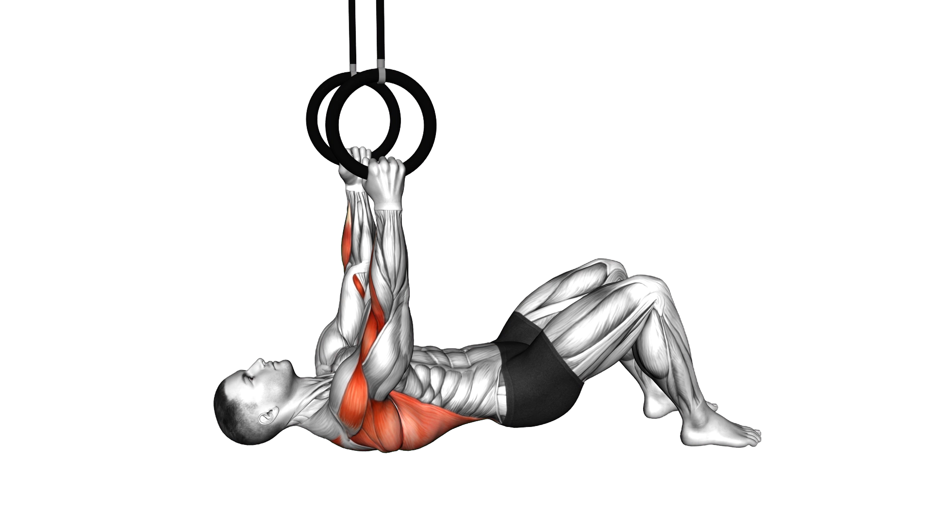 Ring Bent Knee Inverted Row exercise thumbnail