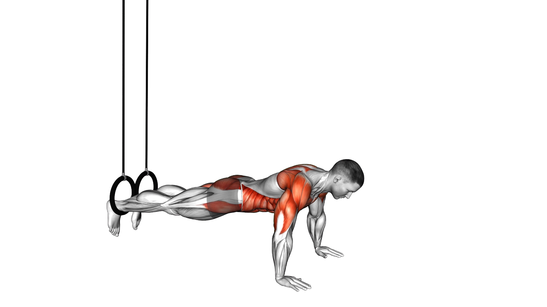 Ring Push Up to Side Plank exercise thumbnail