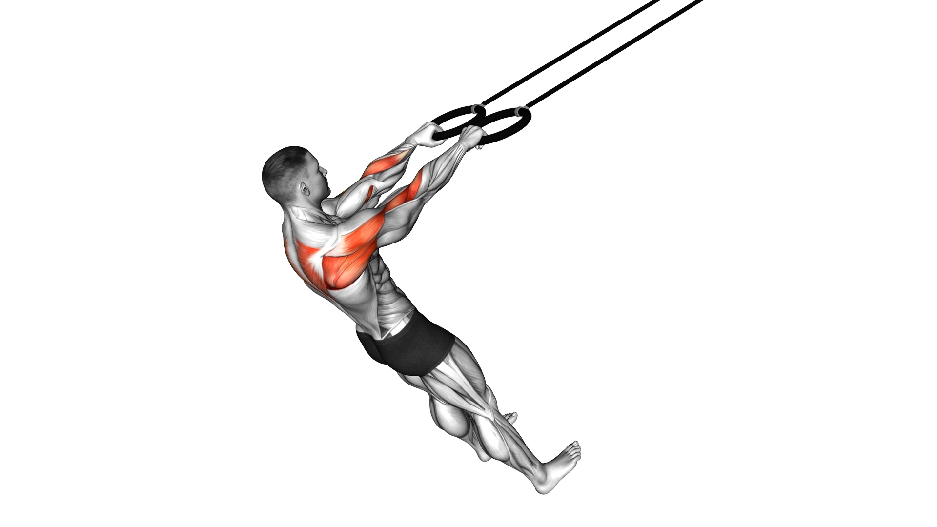 Ring Face Pull exercise demonstration