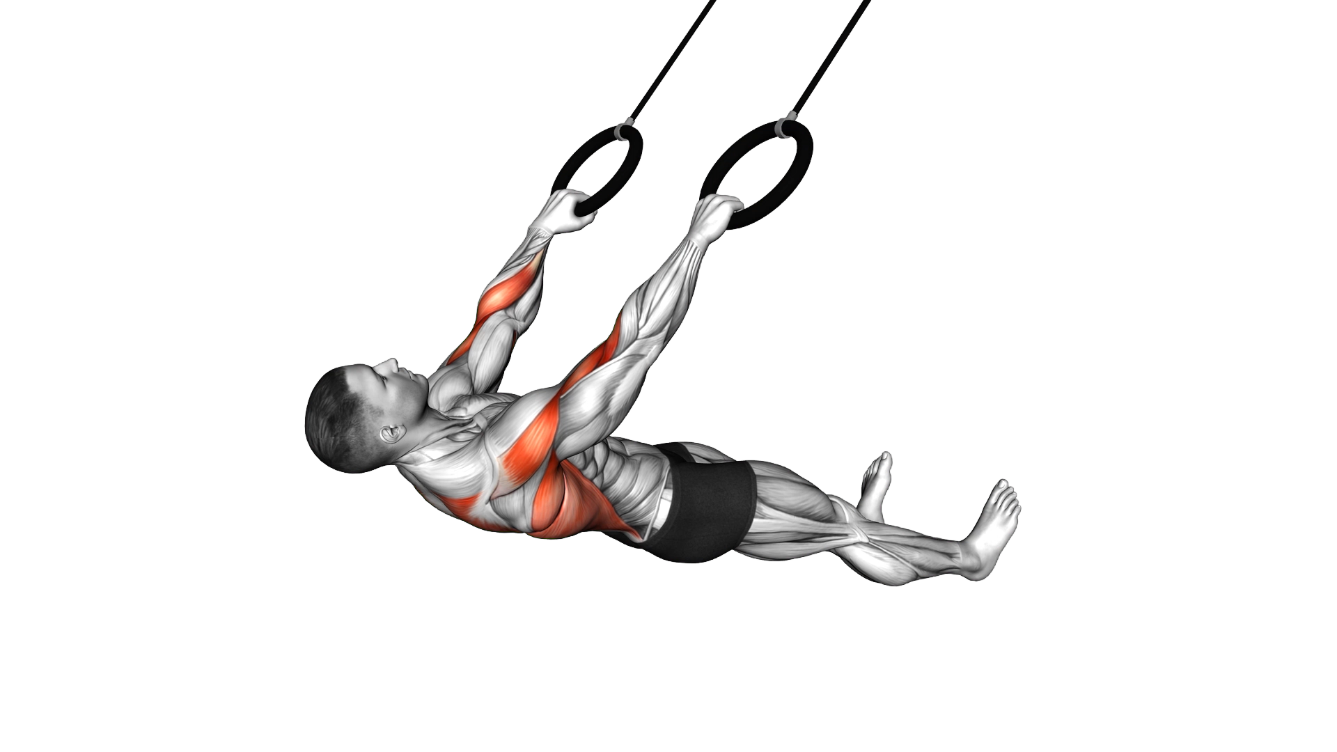 Ring Wide Grip Inverted Row on floor exercise thumbnail