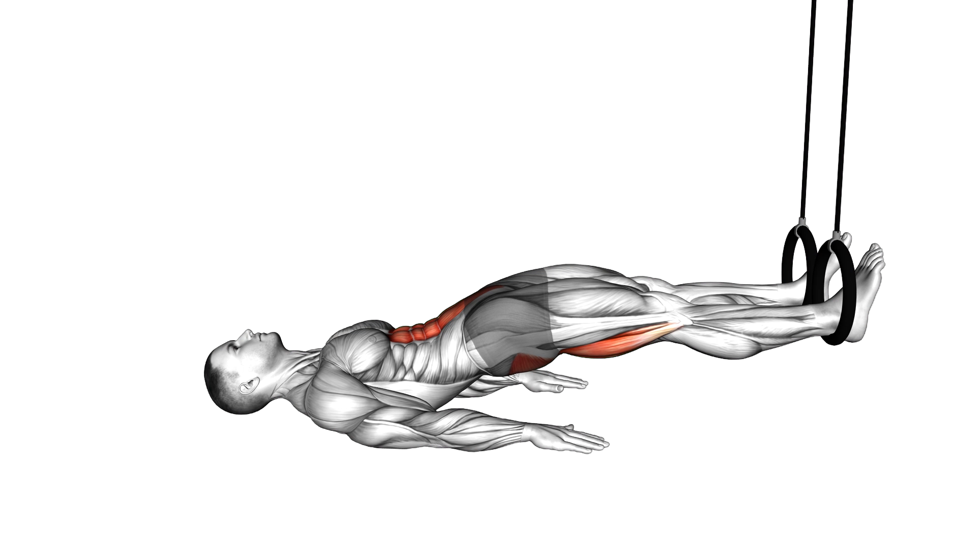 Ring Straight Hip Leg Curl exercise demonstration