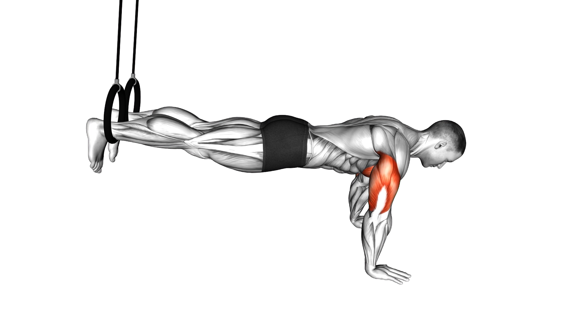 Ring Decline Push Up exercise demonstration