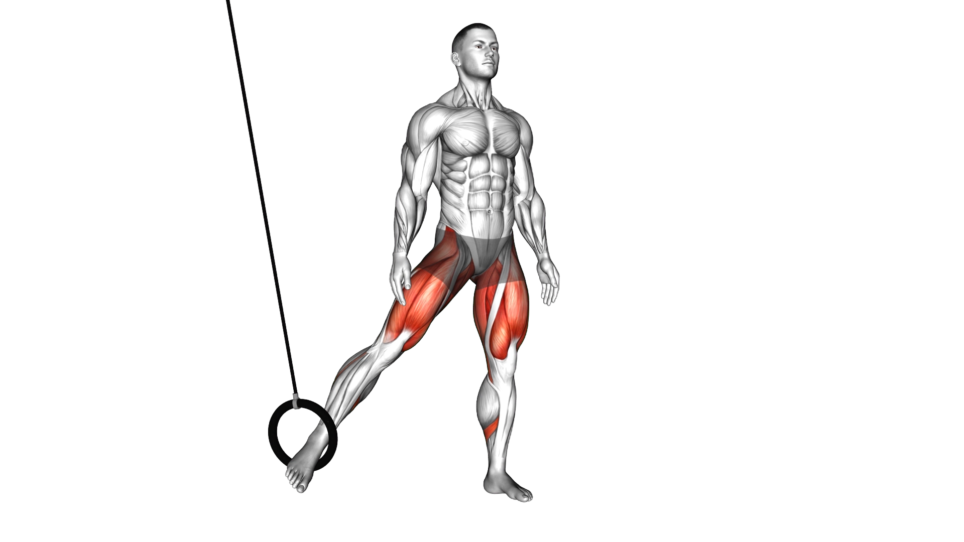 Ring Side Squat exercise demonstration