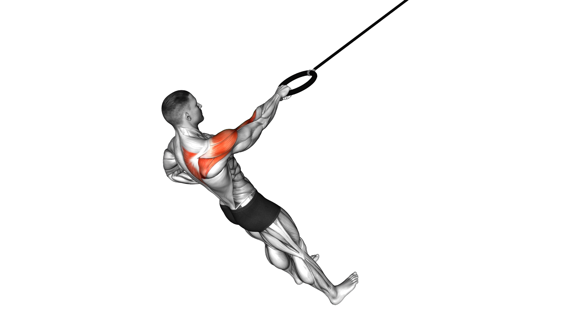 Ring Single Arm Rear Delt Row exercise demonstration