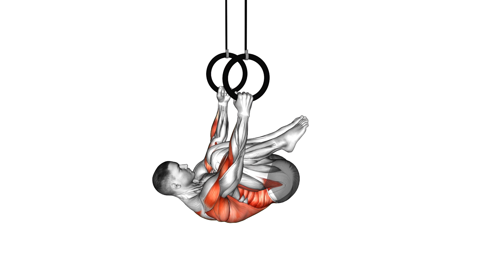 Ring Knee Tuck Row exercise demonstration