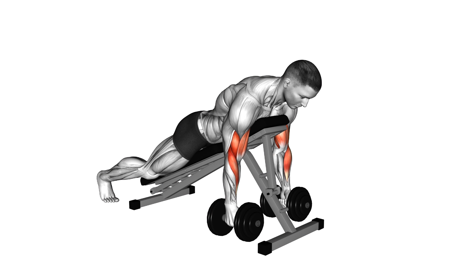 Dumbbell Prone Alternate Hammer Curl exercise demonstration