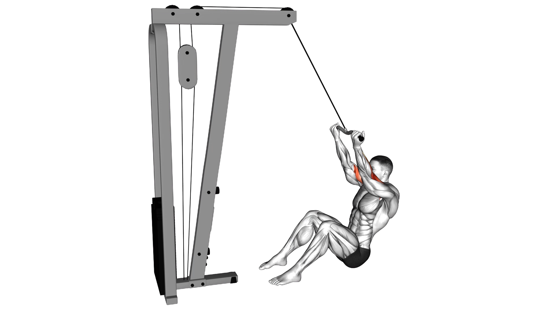 Cable Seated Overhead Curl (SZ Bar) exercise demonstration