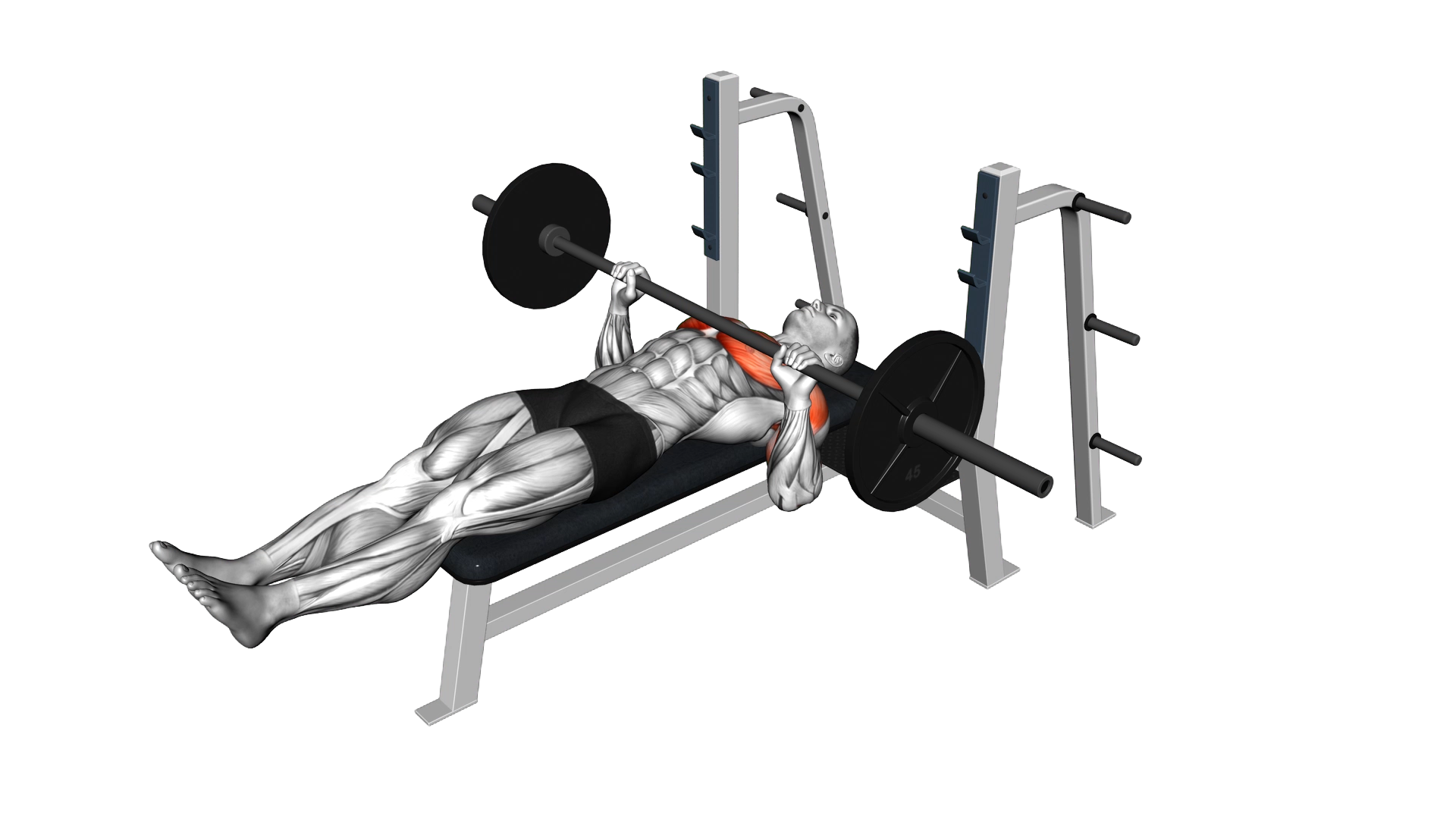 Barbell Larsen Press exercise demonstration