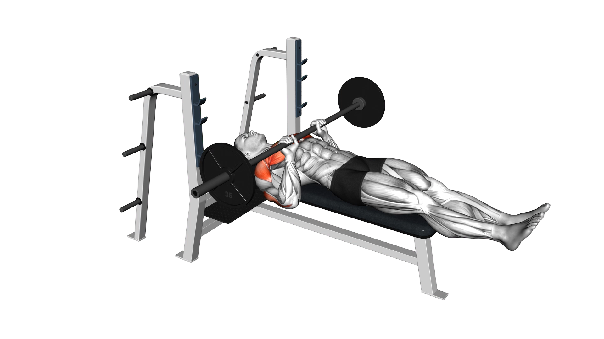Barbell Close Grip Larsen Press exercise demonstration