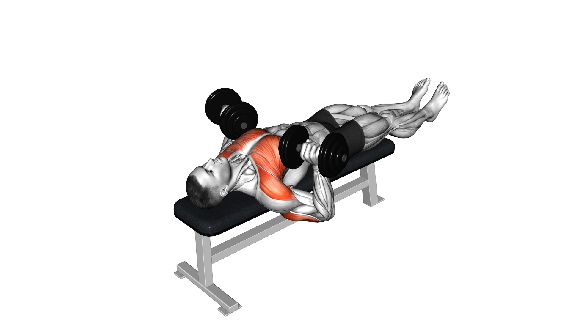 Dumbbell Larsen Press exercise demonstration