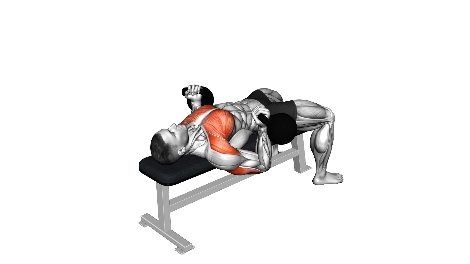 Kettlebell Reverse Bench Press exercise demonstration