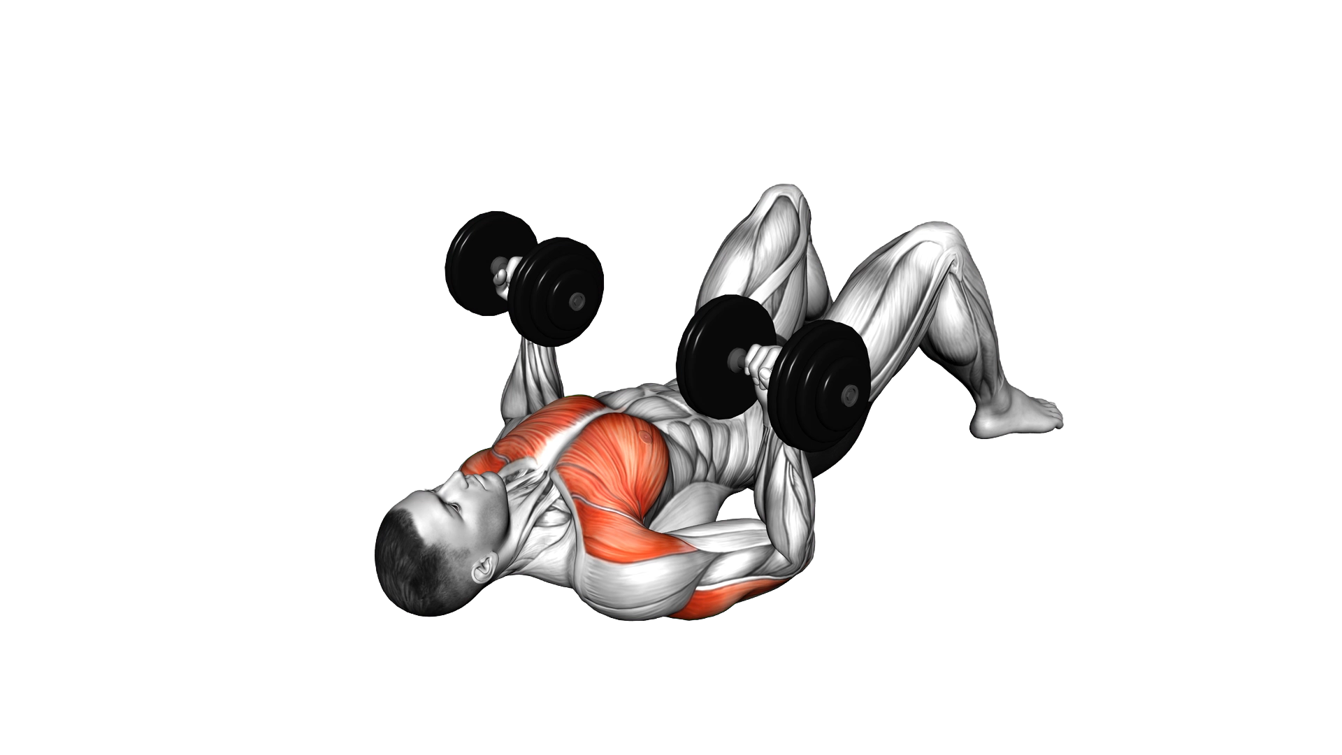 Dumbbell Reverse Press on Floor exercise demonstration