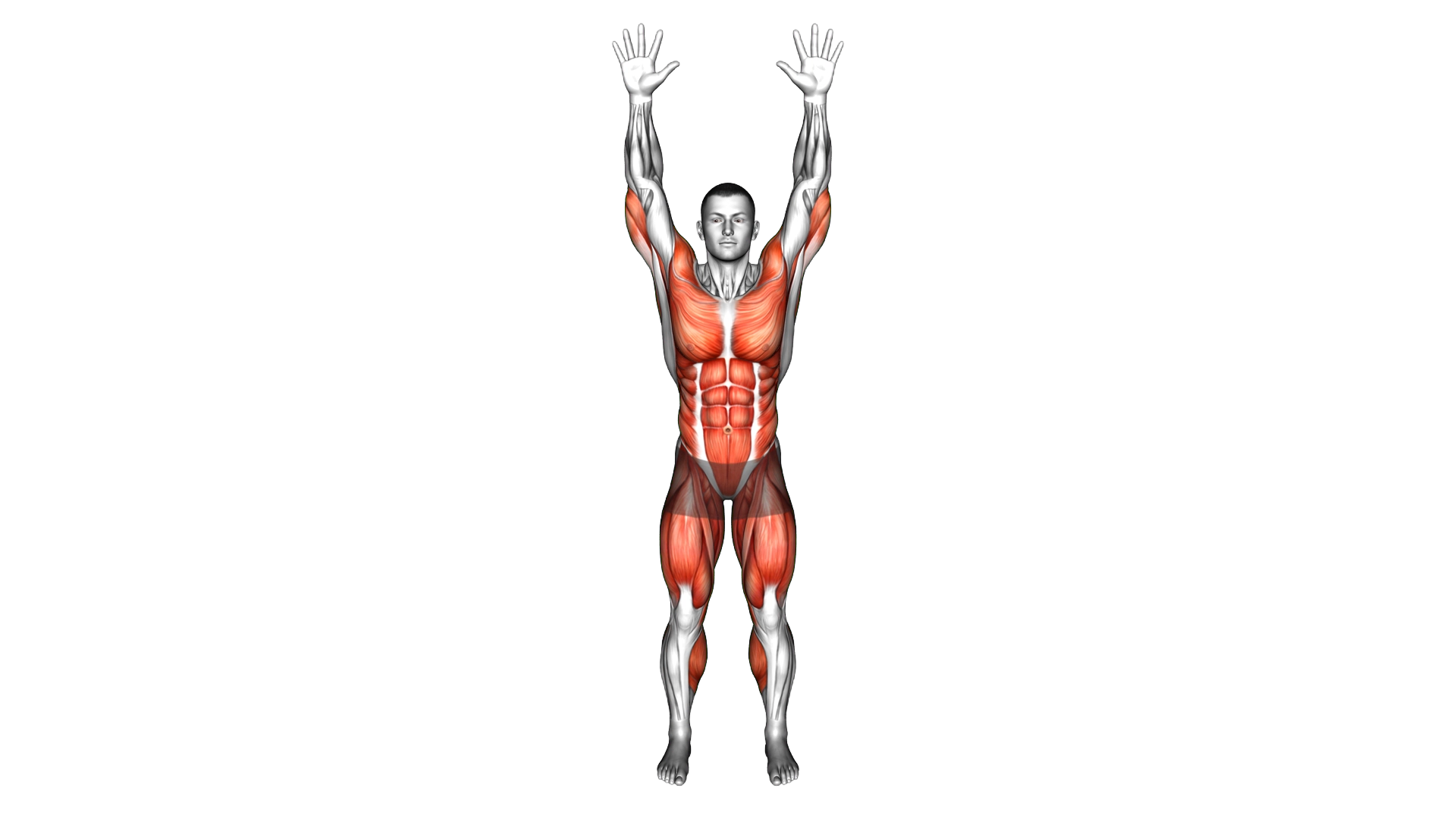 Front and Side Knee Drive exercise demonstration