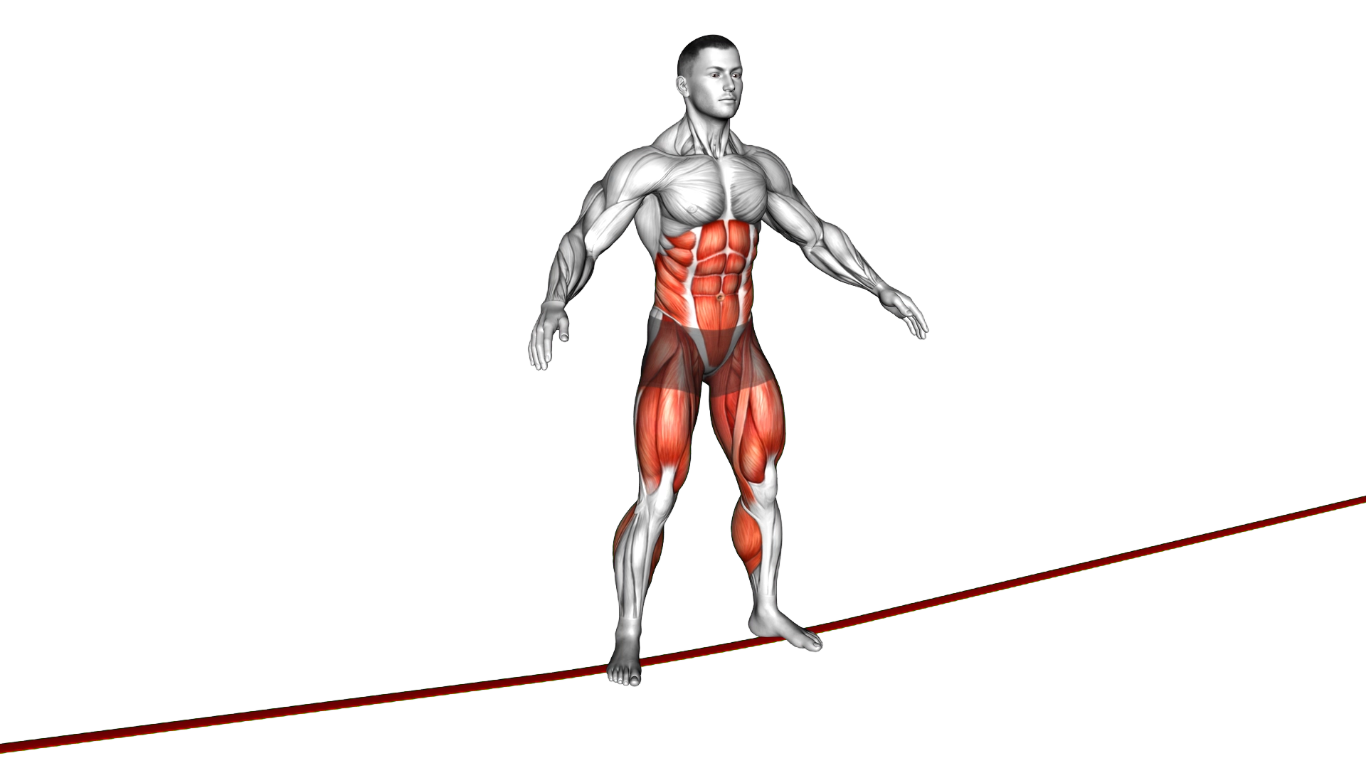 Bodyweight Squat on Slackline exercise demonstration