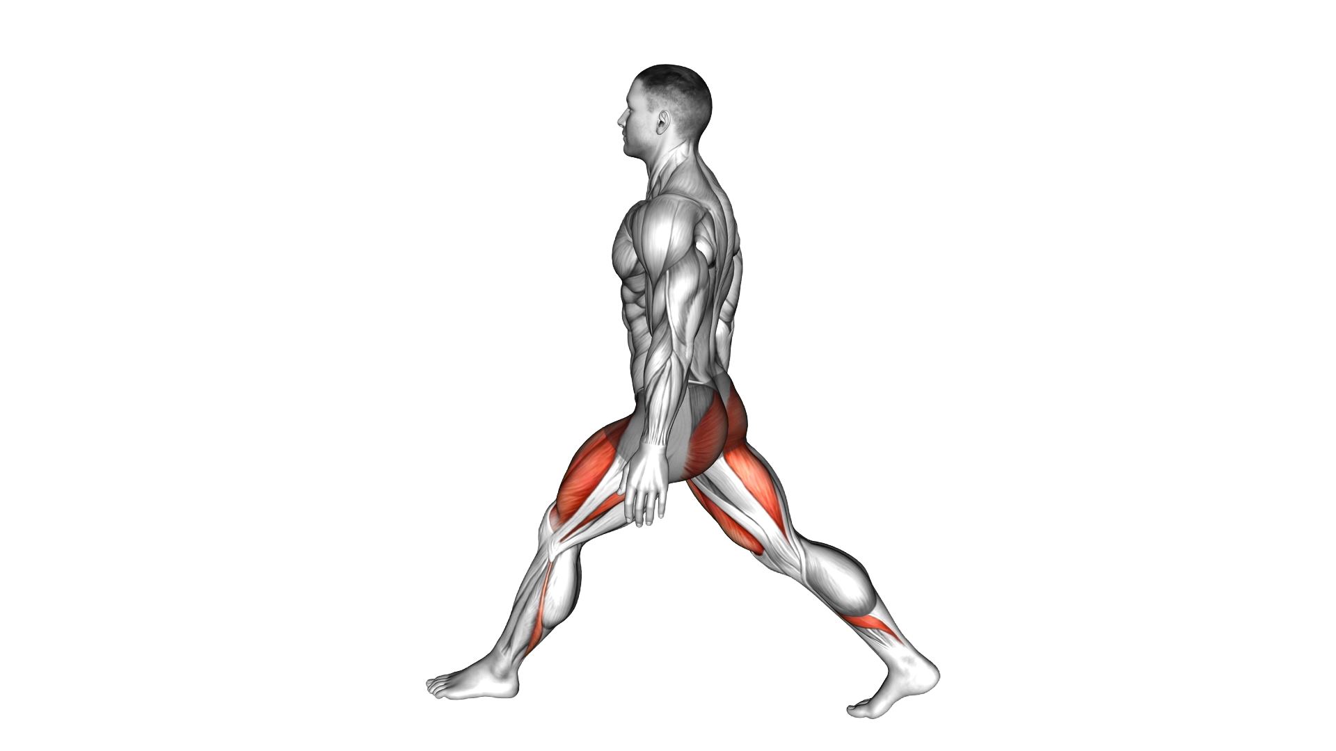 Bodyweight Low Split Squat exercise demonstration