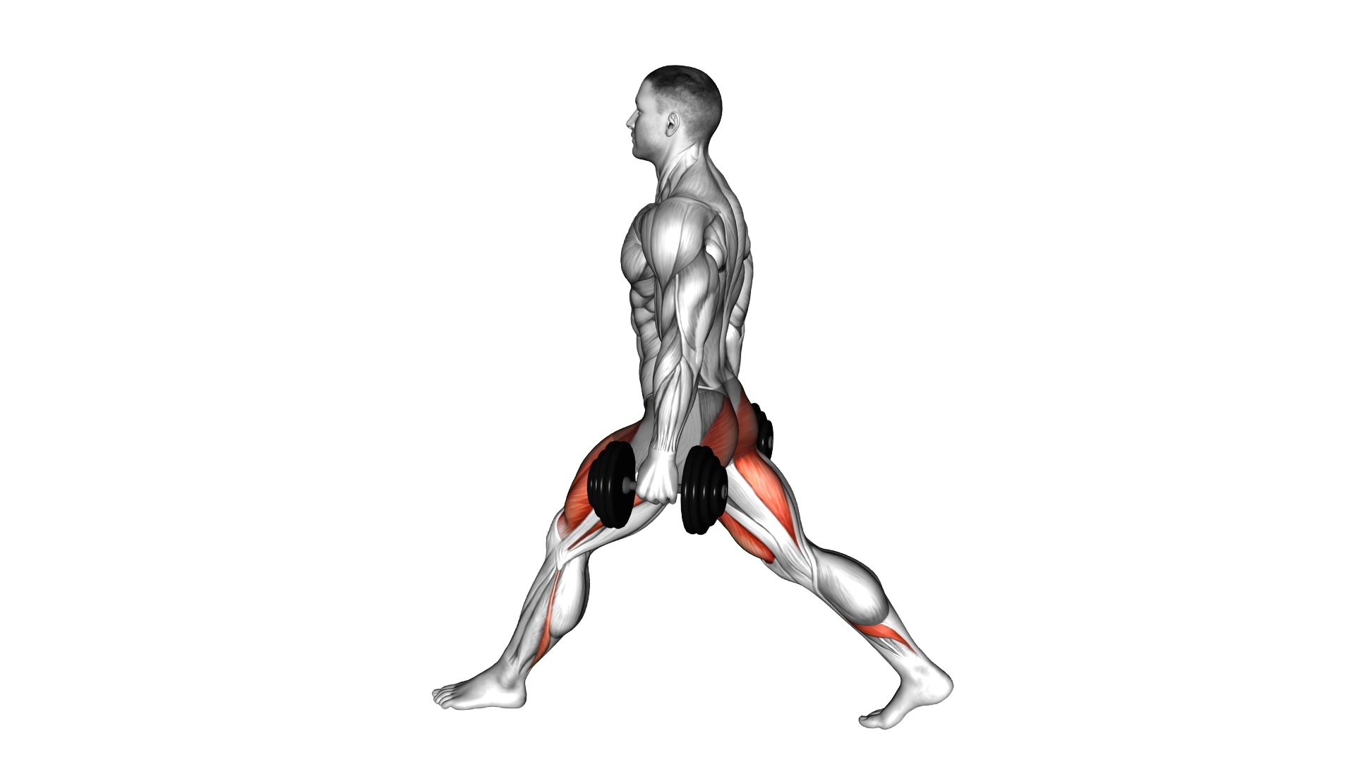 Dumbbell Low Split Squat exercise demonstration