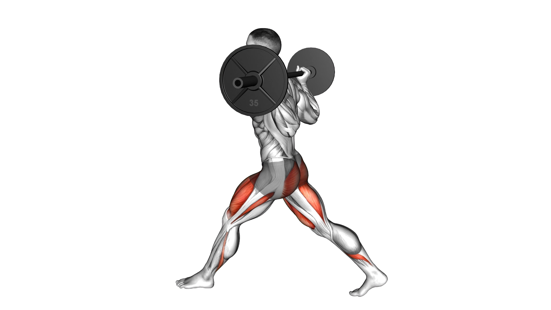 Barbell Low Split Squat exercise demonstration