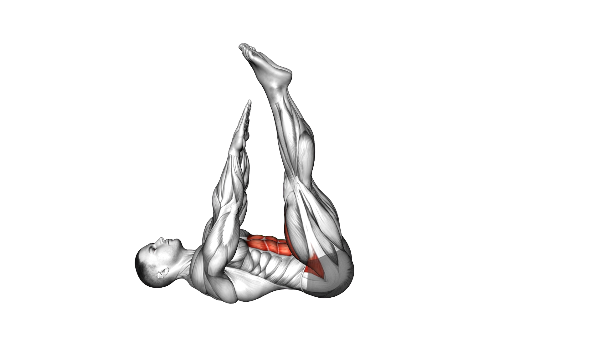 Leg Drop Pulse exercise demonstration