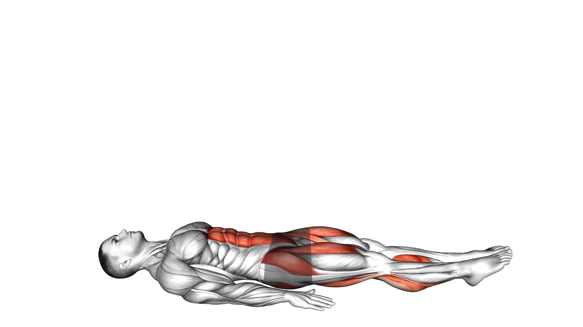 Lying Leg Lift exercise demonstration