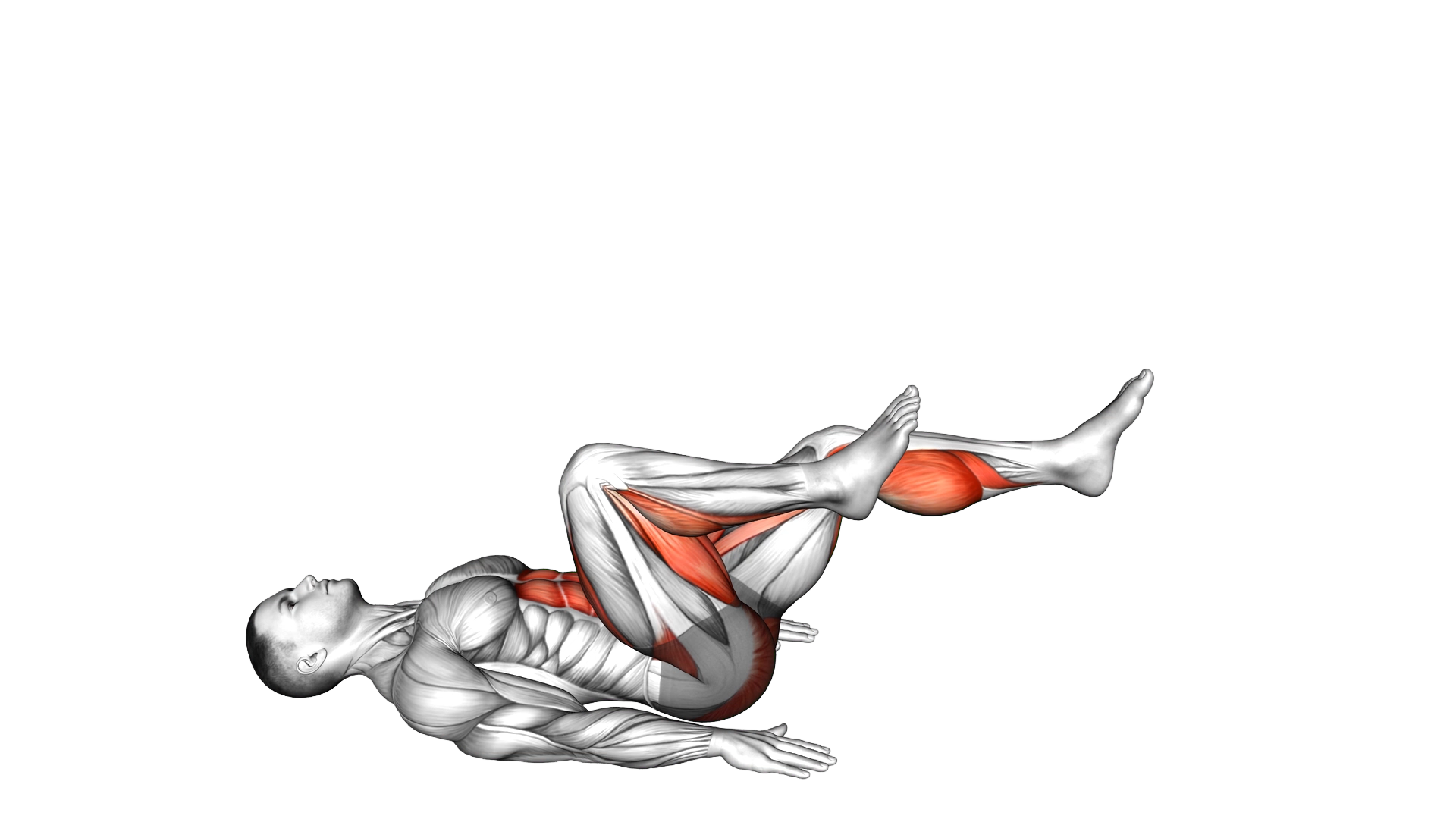 Lying Cycle exercise demonstration