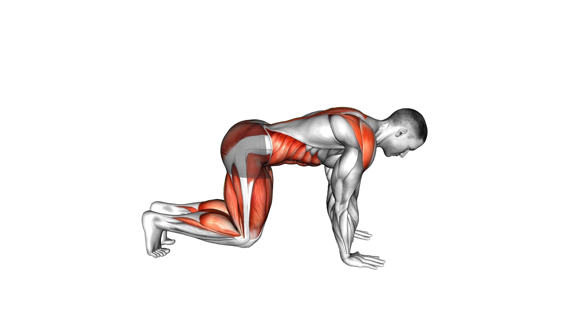 Side Kick Through exercise demonstration