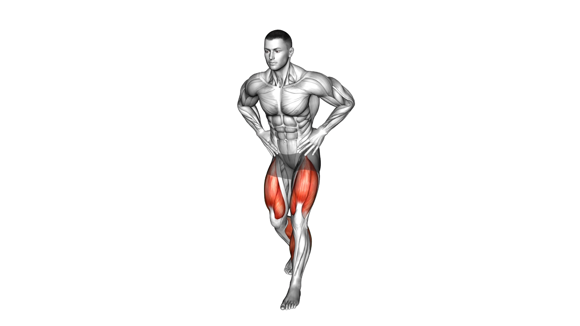 Switching Hops exercise demonstration