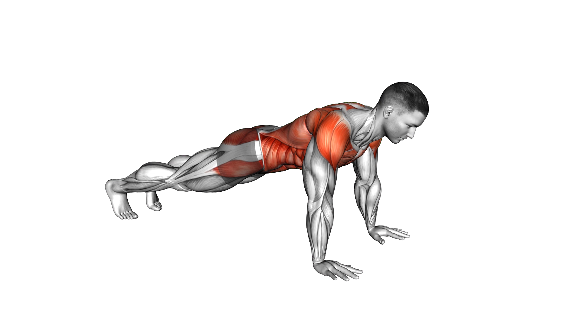 Plank Thigh Tap exercise demonstration