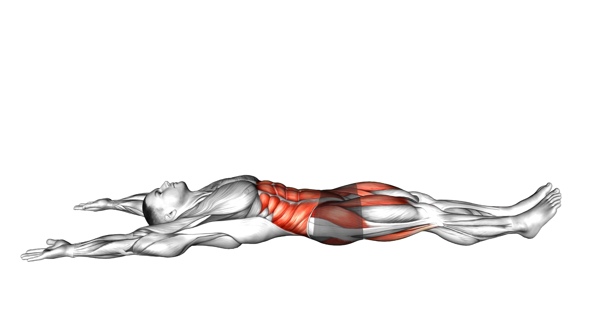 Lying Tuck Up exercise demonstration