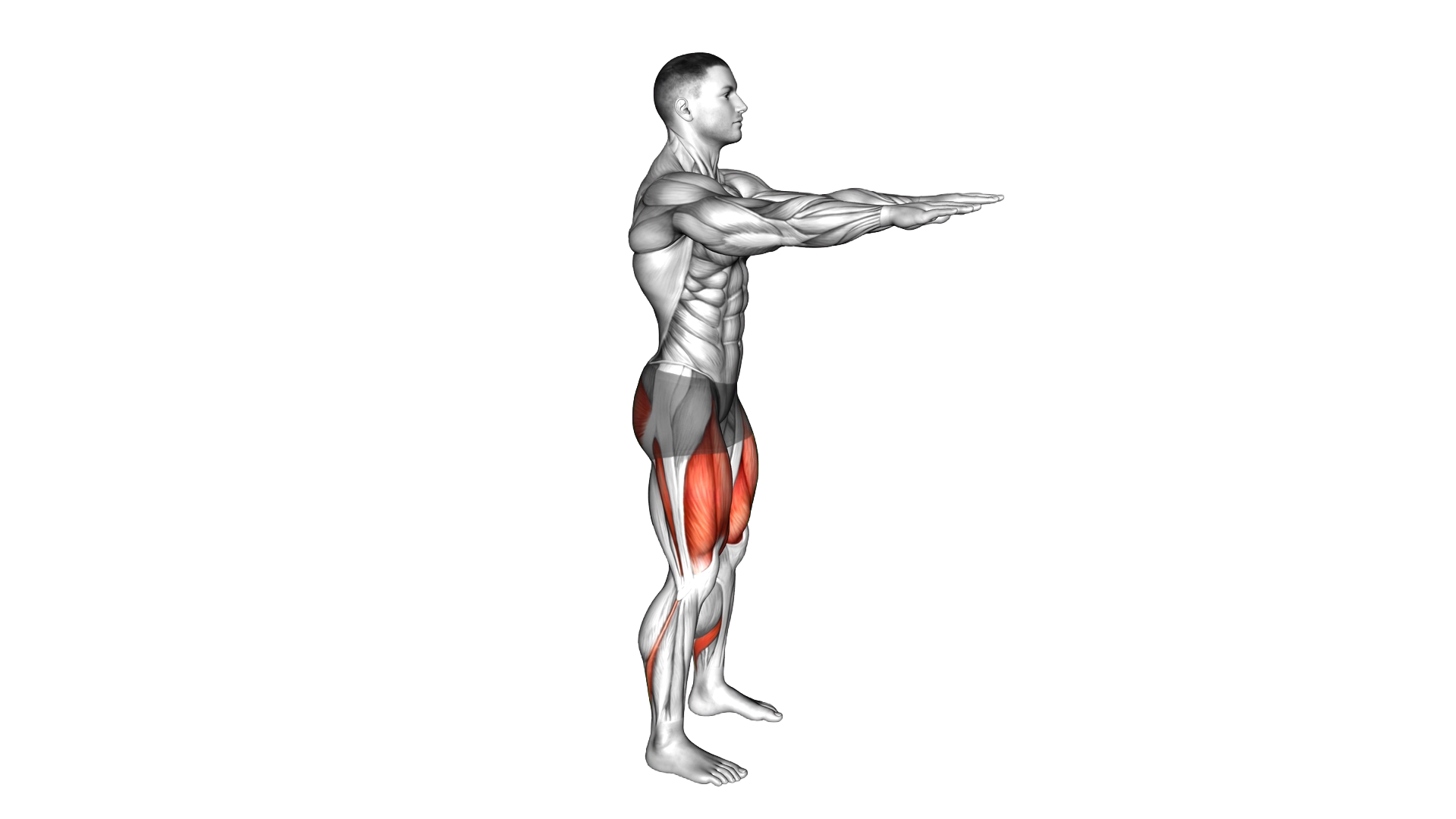 Hip Squat exercise demonstration