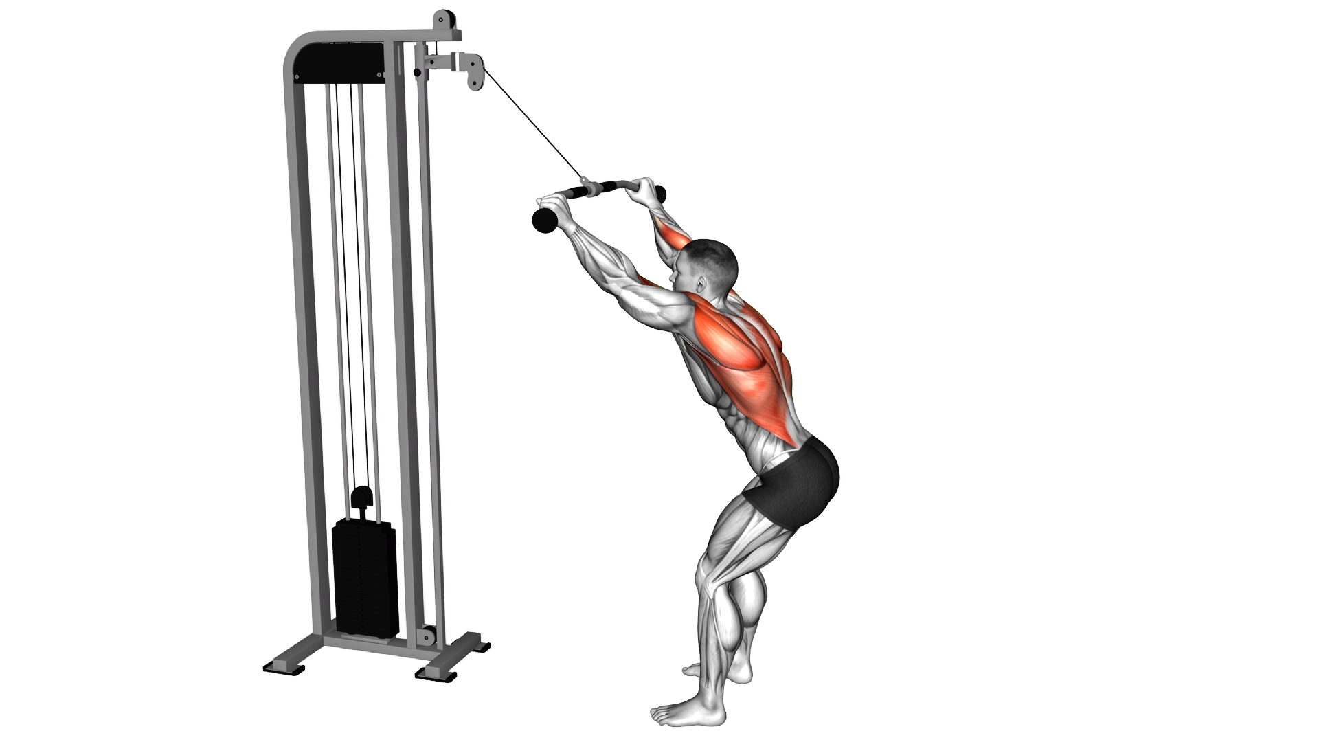 Cable Standing Lat Pulldown exercise demonstration