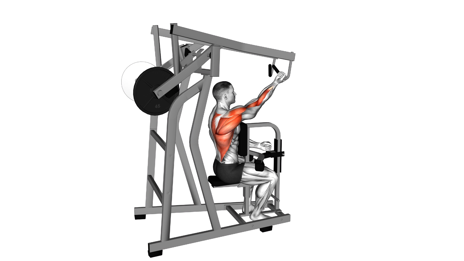 Lever Single Arm Reverse Grip High Row (plate load exercise demonstration