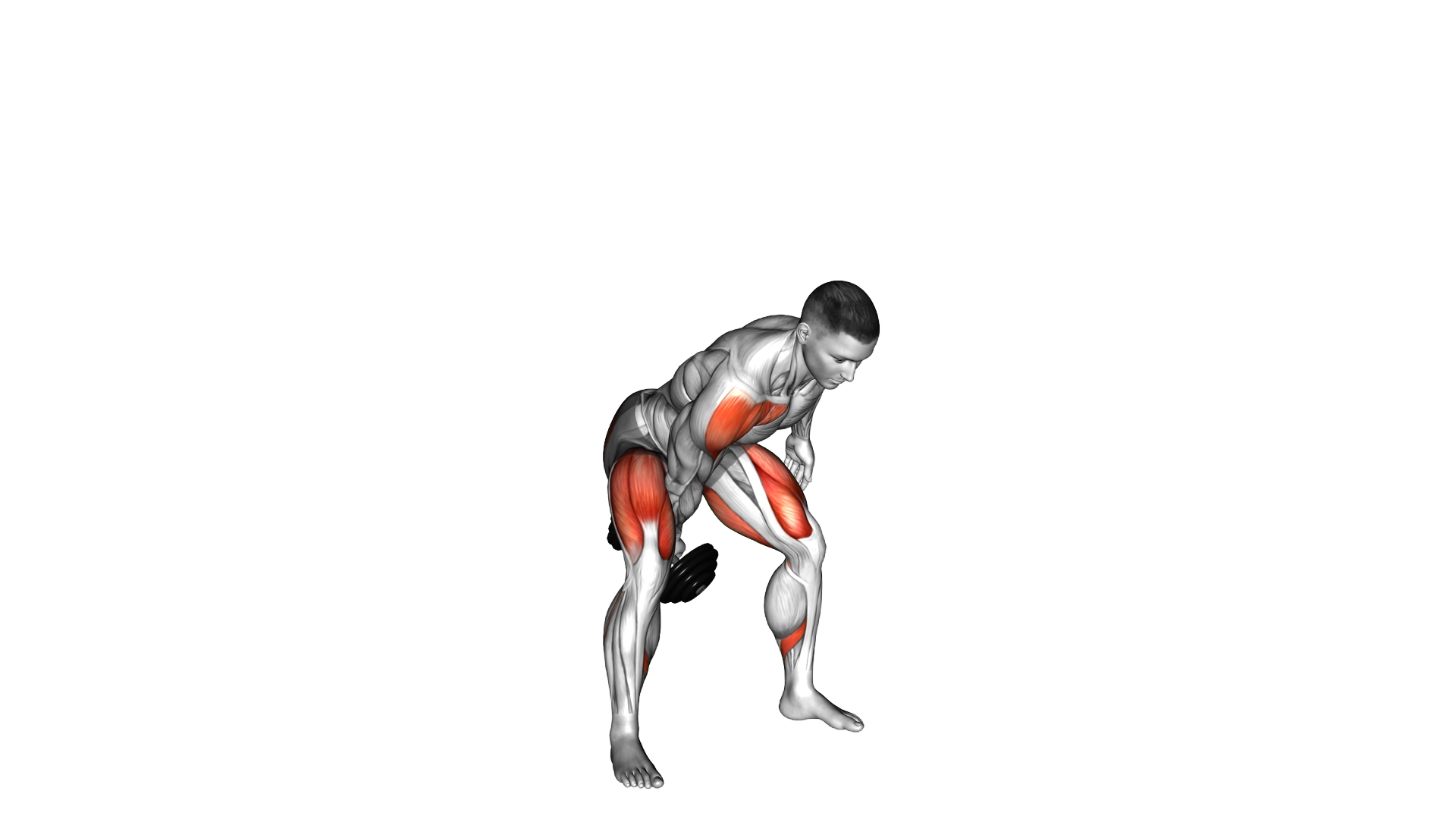 Dumbbell One Arm Swing exercise demonstration