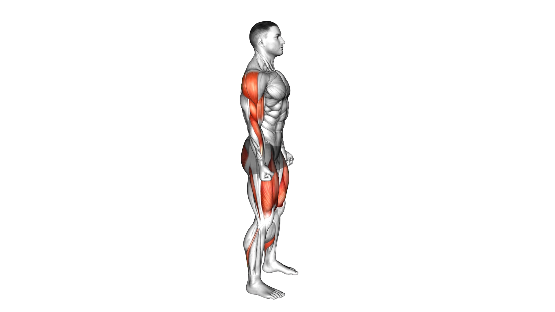 Hindu Squat exercise demonstration